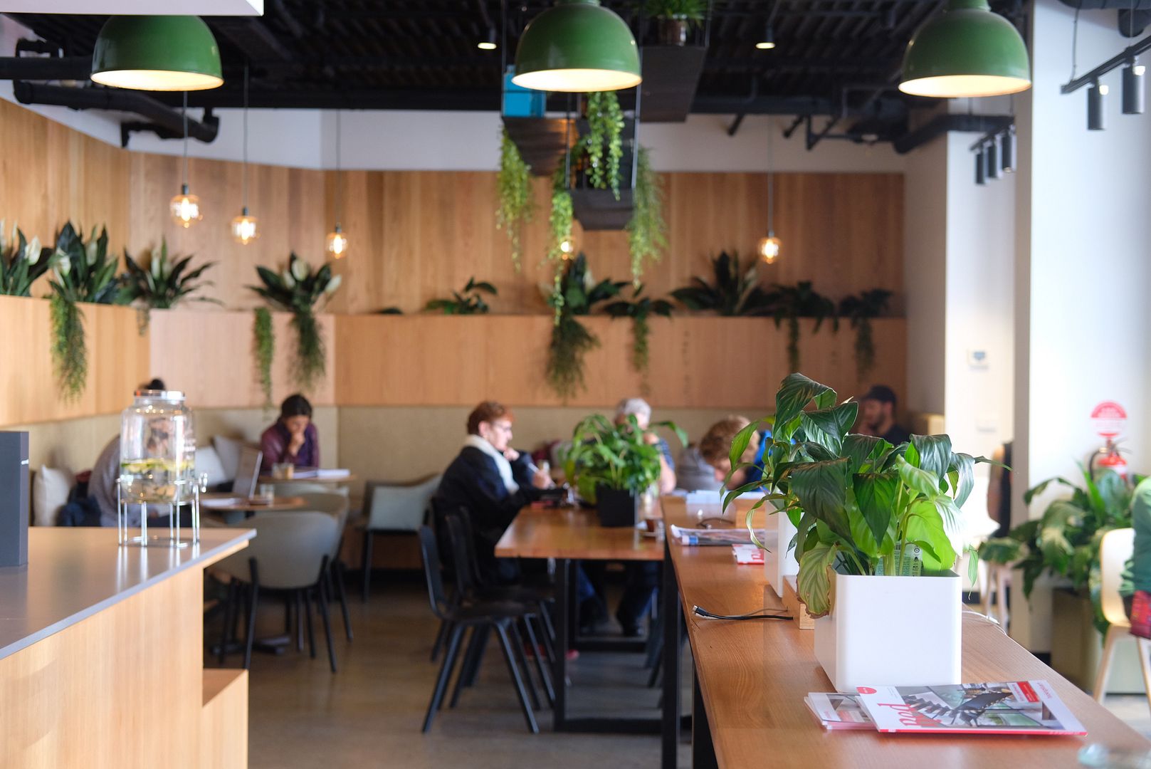 Strictly Ours 19 Cafes with Good Vibes and the Best Coffee in Melbourne